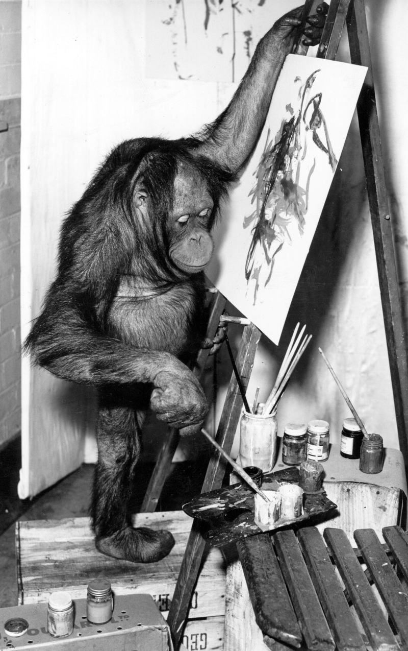 Illustration for article titled Strange Historic Photos Of Intelligent Animals